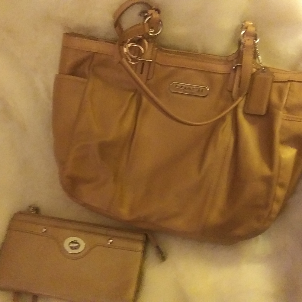 Coach Purse & wallet